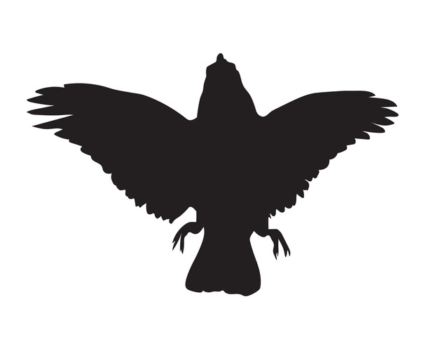 Силуэт чёрной вороны
 - Вектор,изображение