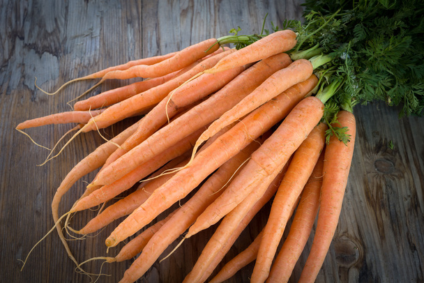 Καρότα - Φωτογραφία, εικόνα