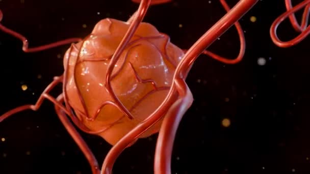 3d animatie van kanker vereist een bloedtoevoer naar de voedingsstoffen en zuurstof die het nodig heeft om te groeien en te overleven leveren - Video