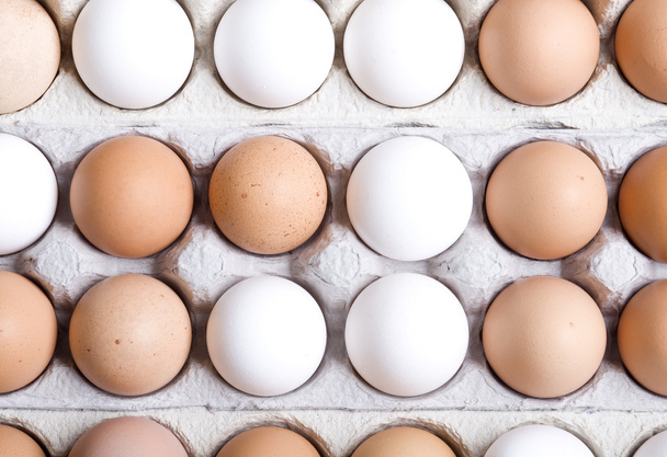 Eggs - Foto, Bild
