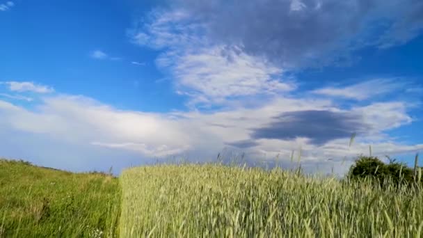 山岳地帯における新たな収穫場の風景 - 映像、動画