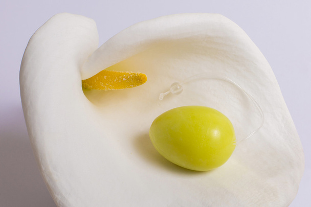 Huevo de jade yacen en una flor blanca
 - Foto, Imagen