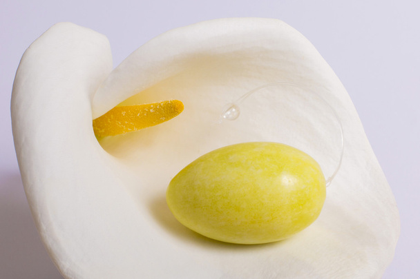 Oeuf de jade couché sur une fleur blanche
 - Photo, image