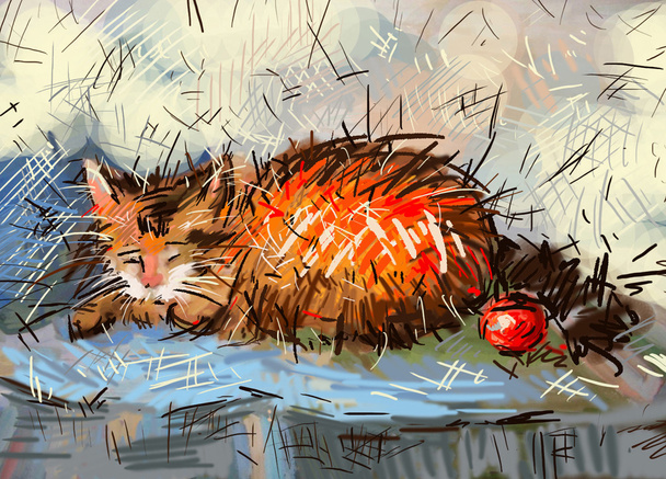 czerwony kot - Zdjęcie, obraz