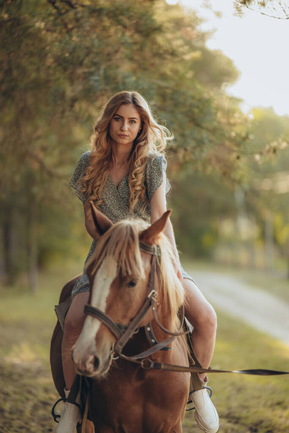 Осенью молодая красивая женщина ездит верхом на лошади в лесу. Верховая езда вечером осенью. Разведение лошадей на ферме для конного спорта. - Фото, изображение