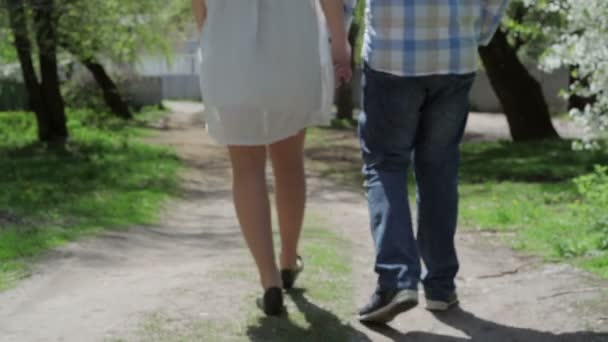 Обратный вид любящей пары, идущей вместе, держась за руки в парке
 - Кадры, видео