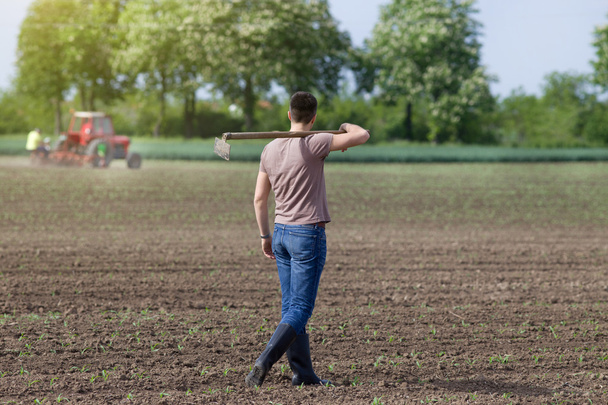 Farmer marche avec houe
 - Photo, image