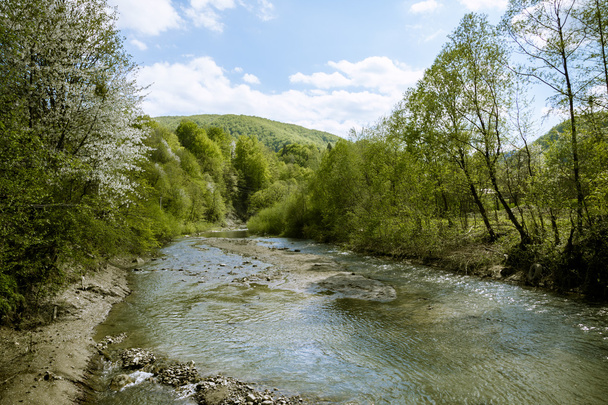 Mountain river rapid flow - Photo, Image