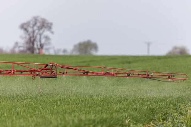 Pulverizar los herbicidas en el campo verde
 - Foto, imagen