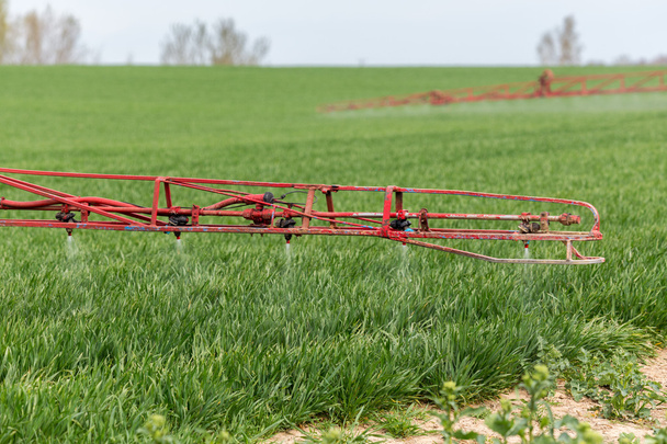 Pulverizar los herbicidas en el campo verde
 - Foto, imagen