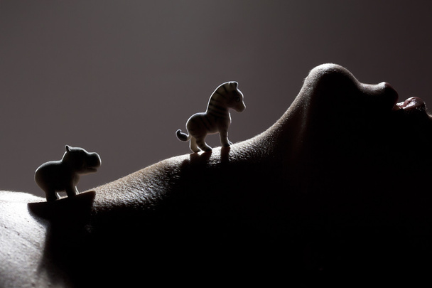 Little hippo and zebra walking on woman neck - Фото, изображение