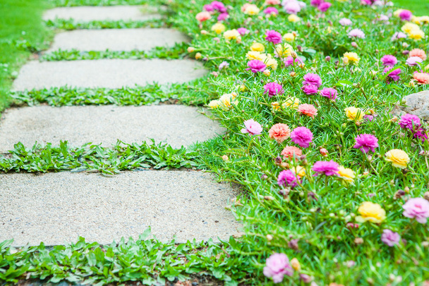 pathway with gardening blooms - Foto, Imagem