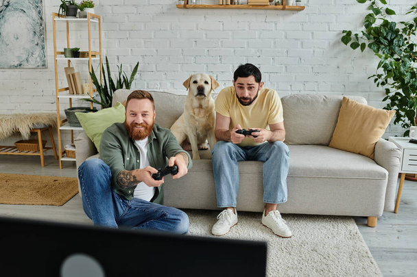 Бородата гомосексуальна пара глибоко зосереджена на грі в відеоіграх, в той час як їх домашня тварина Лабрадор спостерігає в затишній обстановці вітальні. - Фото, зображення