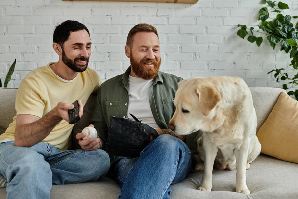 Бородата гей пара і лабрадор собака дивитися спортивний матч на дивані у вітальні, насолоджуючись якісним часом разом. - Фото, зображення