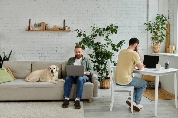 Бородатая гей-пара сидит на диване в своей гостиной, удаленно работая рядом со своей любимой собакой-лабрадором. - Фото, изображение