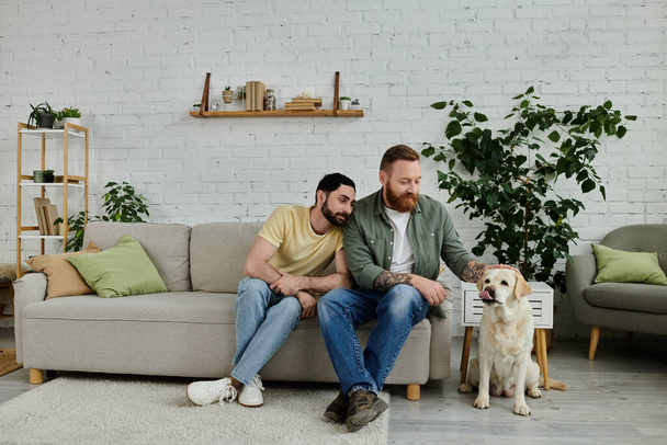 Deux hommes barbus se détendent sur un canapé, partageant un moment confortable avec leur labrador bien-aimé dans le salon. - Photo, image