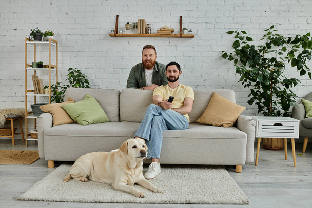 Két szakállas férfi pihen a kanapén, a labrador retrieverük kíséretében egy hangulatos nappaliban.. - Fotó, kép