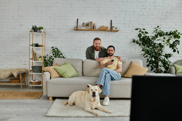 Двоє чоловіків, бородата гомосексуальна пара, сидять на дивані, кидаючи свій лабрадор у затишну вітальню. - Фото, зображення
