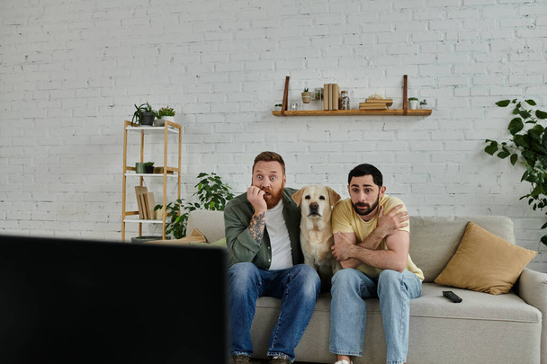 Zwei Männer, ein schwules Paar, sitzen auf einer Couch im Wohnzimmer und genießen die Gesellschaft ihres Labrador Retrievers. - Foto, Bild