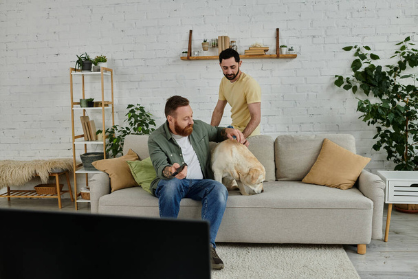 暖かく居心地の良いリビングルームでラブラドール犬を愛情を持ってソファに座っているひげを持つ男. - 写真・画像
