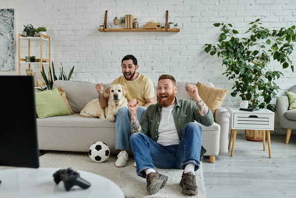 夜を楽しんでいるひげ付きゲイカップル, ラブラドール犬とソファーに座って, スポーツの試合を見ている. - 写真・画像
