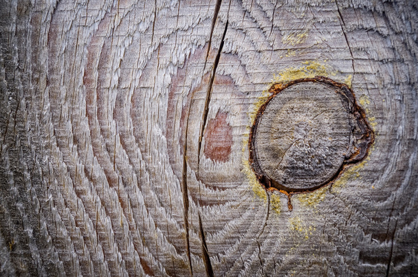 Texture of old oak - Foto, afbeelding
