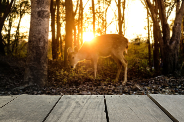 Imagen desenfocada y borrosa de terraza de madera y ciervos manchados con s
 - Foto, imagen