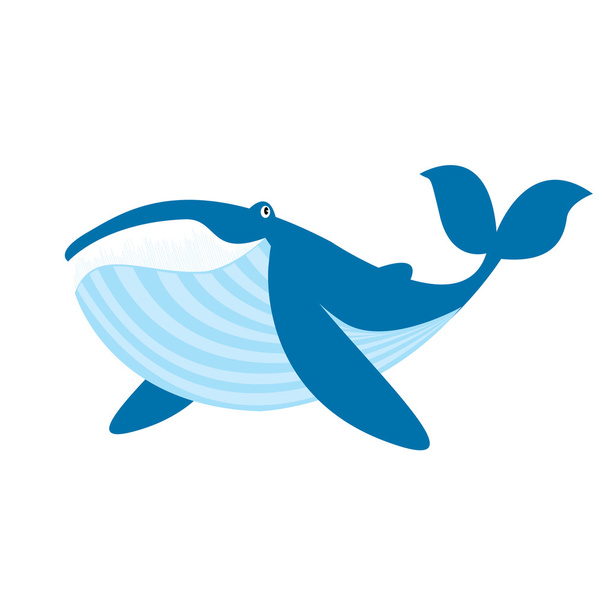 blue whale  on white - Vector, imagen