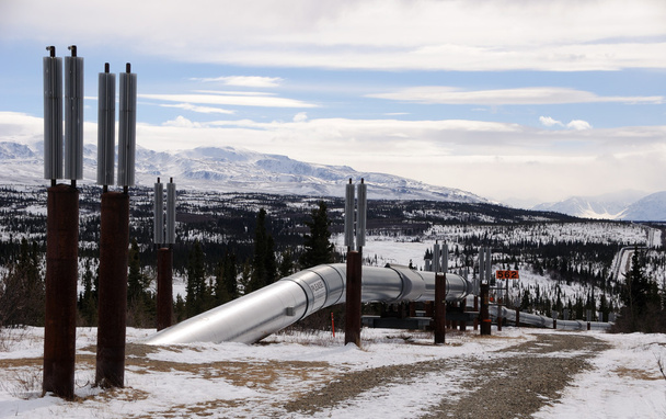 Alaska Oil Pipeline entrare Isabel Pass nella catena dell'Alaska
 - Foto, immagini