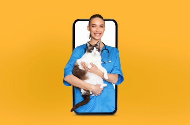 Ein gut gelaunter Tierarzt in blauem Gestrüpp hält eine flauschige Katze in der Hand, während er durch einen Smartphone-Bildschirm erscheint. Der leuchtend gelbe Hintergrund unterstreicht den technisch versierten Ansatz bei der Haustierpflege. - Foto, Bild