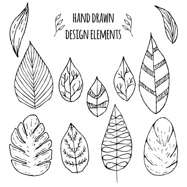 Set of hand drawn design elements - Vektori, kuva