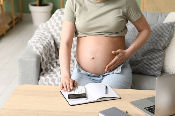 Hesap makinesi, defter ve dizüstü bilgisayarı olan hamile bir kadın oturma odasında kanepede oturuyor. - Fotoğraf, Görsel