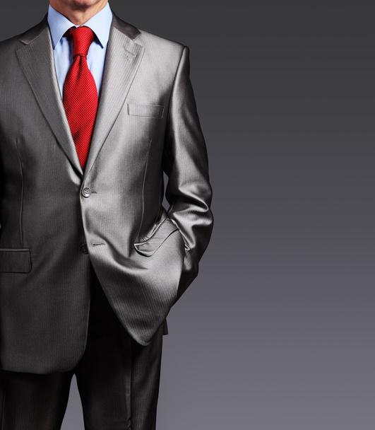 Image d'un homme d'affaires en costume sur fond gris
 - Photo, image