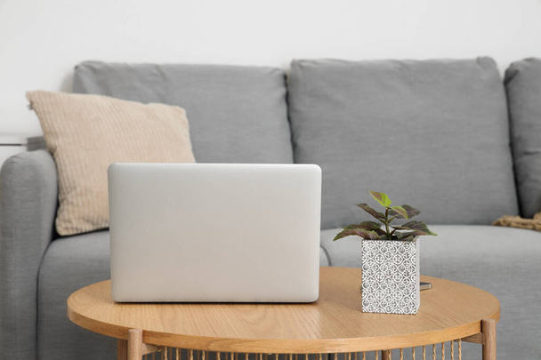 Стильный интерьер гостиной с серым диваном и современным ноутбуком на столе - Фото, изображение