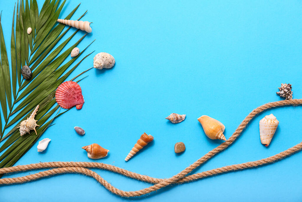 Hermosas conchas marinas y hojas de palma sobre fondo azul. Concepto de verano - Foto, imagen