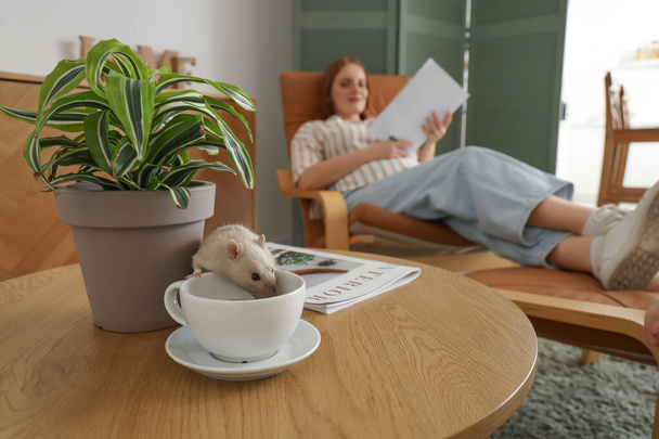 Carino ratto con tazza sul tavolo a casa, primo piano - Foto, immagini