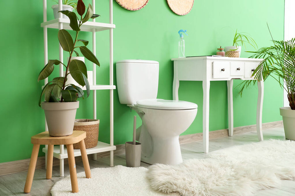 Interior of restroom with toilet bowl near green wall - Photo, Image