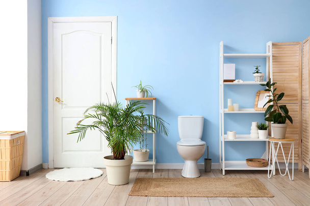 Intérieur des toilettes avec cuvette de toilette, étagère et plante près du mur bleu - Photo, image