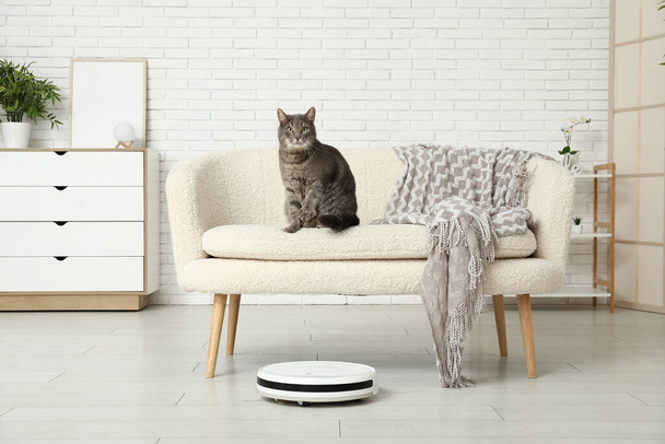Χαριτωμένη γάτα με σύγχρονο ρομπότ ηλεκτρική σκούπα στο σπίτι - Φωτογραφία, εικόνα