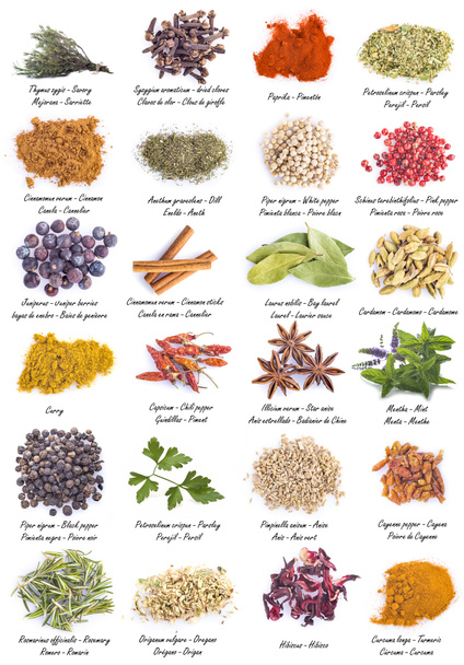 Herbs and spices for cooking - Photo, Image