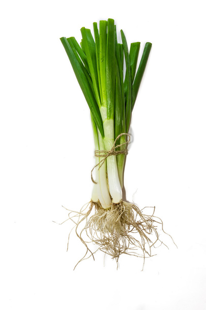 Bundle of green onion - Photo, Image