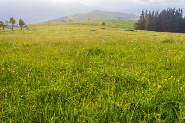 Horské pastviny v časných ranních hodinách - Fotografie, Obrázek