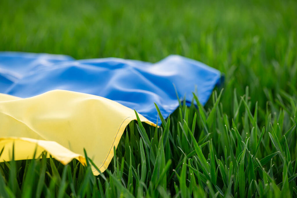 Čerstvá zelená tráva na poli, vlajka Ukrajiny na ní, zblízka. Koncepce zemědělství a zemědělství, bohatá černá půda na Ukrajině, jaro na farmářském poli - Fotografie, Obrázek