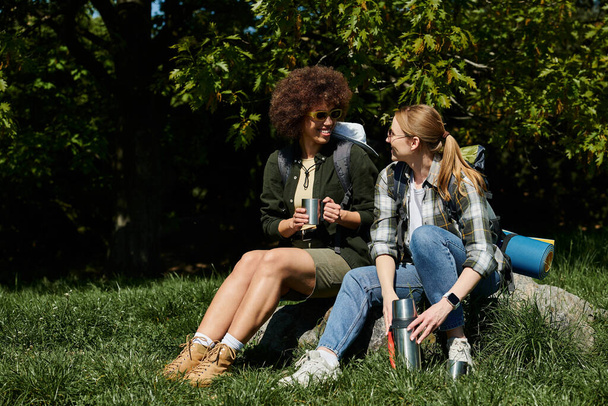 Две молодые женщины, пара лесбиянок, сидят на камне в лесу, наслаждаясь отдыхом во время своего похода. - Фото, изображение
