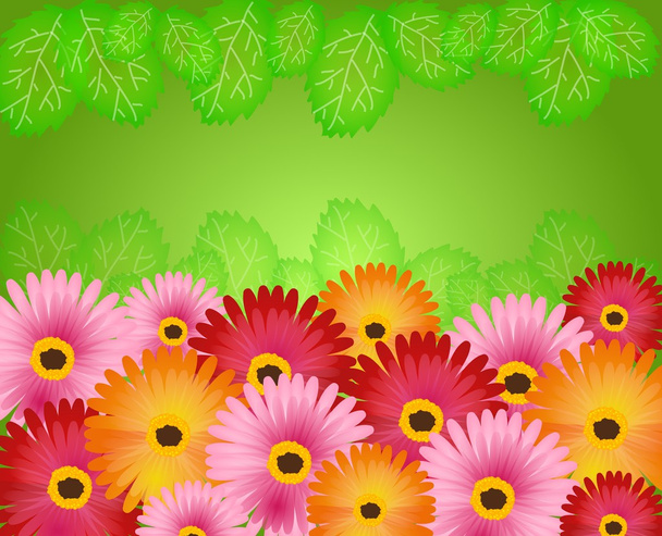 Background with gerbera - Photo, Image