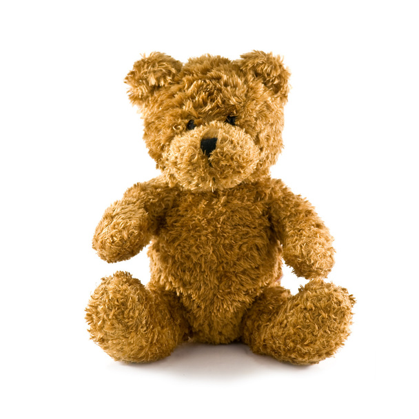 Teddy - Foto, Imagem