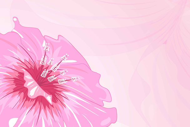 pink flower - Vektor, kép