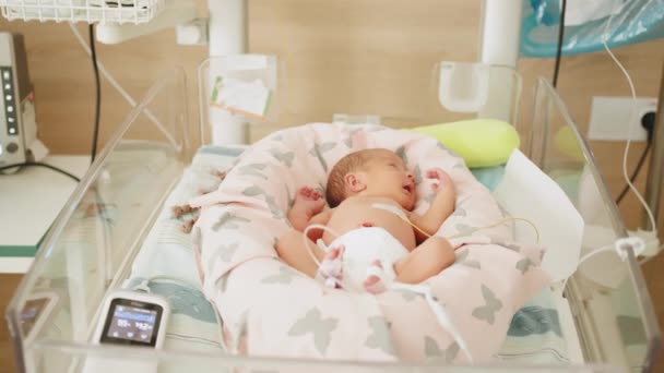 Yeni doğmuş bebek hastane kuluçkasında dinleniyor. Bebek gözetim altında ve tıbbi yardım alıyor. Yenidoğan yoğun bakımını temsil eder. - Video, Çekim