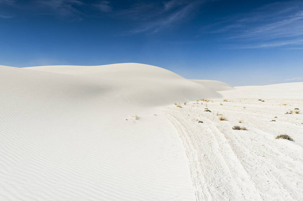 Θίνες από λευκή άμμο γύψου στο Νέο Μεξικό - Φωτογραφία, εικόνα