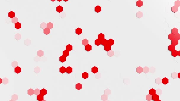 Ein weißer Hintergrund mit roten und weißen Sechsecken. Looping-Animation. - Filmmaterial, Video